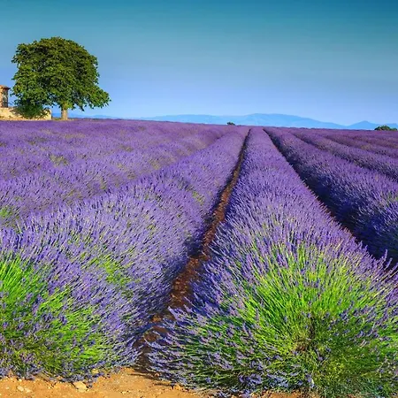 Dom wakacyjny Belle *